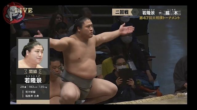 СУМО НА РУССКОМ! Февраль 2023, Спецтурнир по сумо, часть 1. смотреть онлайн