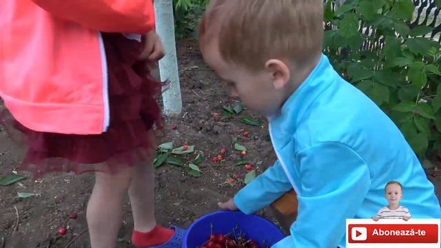 La Cirese | In Gradina La Bunici | MeliMi Canal Video Jocuri Activitati Povesti Cantece Pentru Copi