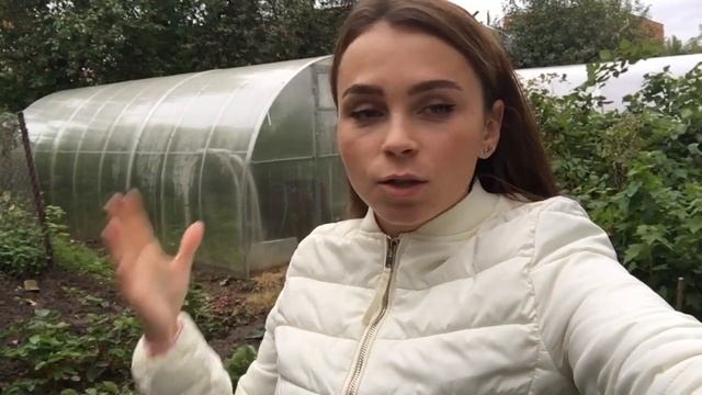 Видеоотзыв о теплице смотреть онлайн