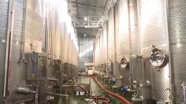Гости из Крыма (абх) 16.11.2018 смотреть онлайн
