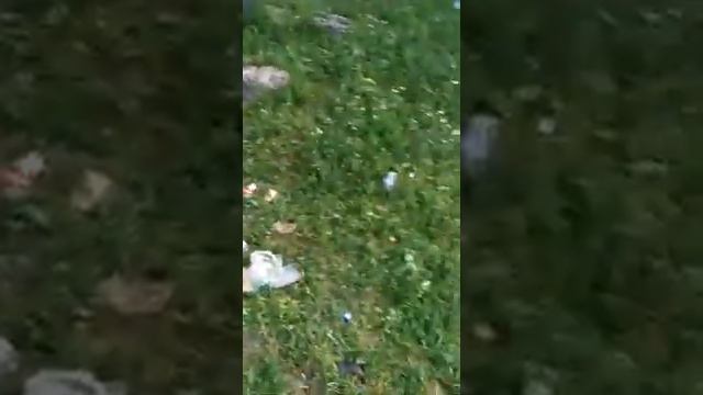 Мусор в горах Кыргызстана смотреть онлайн