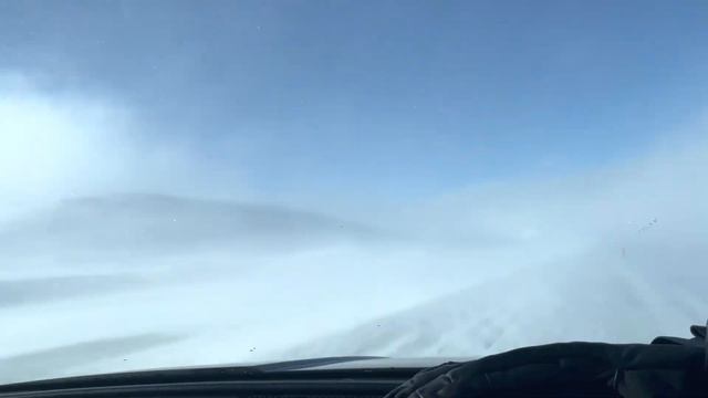 2022 03 20 14 12 05 exif img 2002 смотреть онлайн