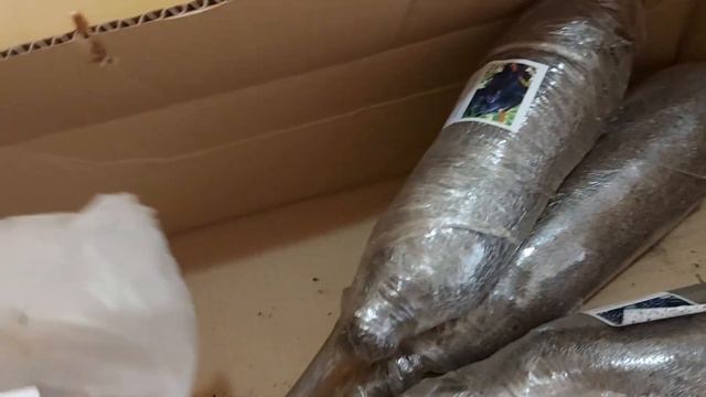 Отзыв "Агромаркет"(відгук) смотреть онлайн