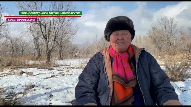 Почему не любят умных в токсичном коллективе смотреть онлайн