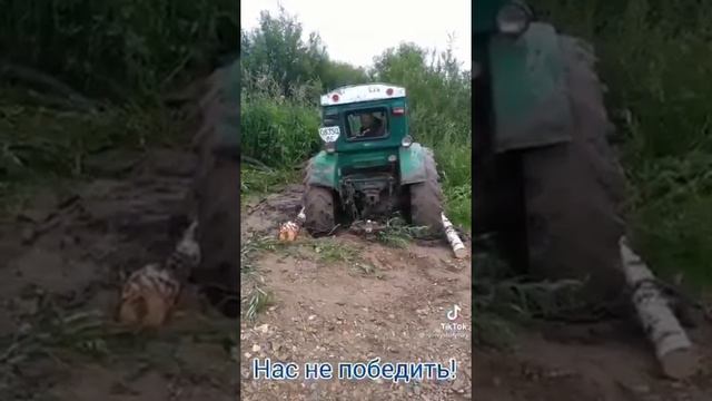 🔥 смотреть онлайн