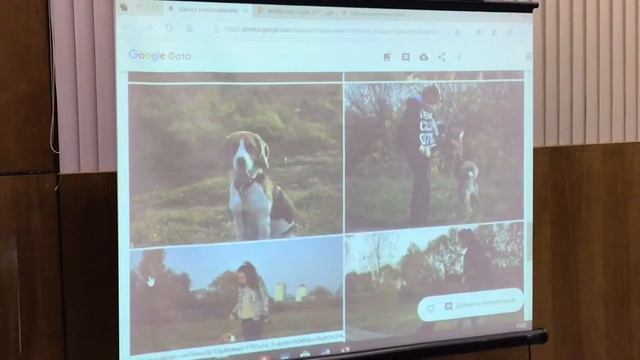 Городской семинар по экологии смотреть онлайн