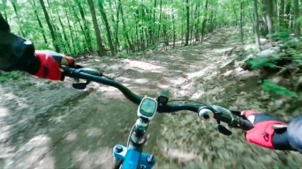 Позитив Экстрим Красоты/Весенняя покатушка в лес #вело