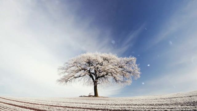 Winter Storm Ambience with Icy Howling Wind Sounds for Sleeping, Relaxing and Studying Background смотреть онлайн