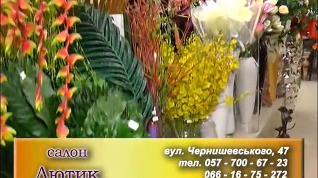 Госпожа Удача от 1 августа 2016 года смотреть онлайн