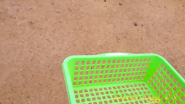 Box Full Of Model Car Jaguar, Nissan, Audi, Maserati, Peugeot, Volvo, Daihatsu,monster Car, #01 L69