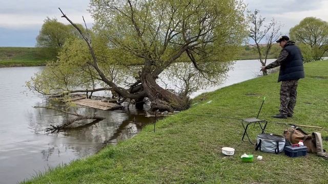 Рыбалка на Пахре. Браконьеры ставят СЕТИ! смотреть онлайн