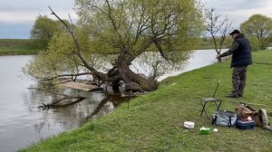 Рыбалка на Пахре. Браконьеры ставят СЕТИ!