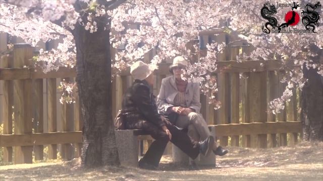 Ханами "花見" (Любование цветами) / САКУРА смотреть онлайн