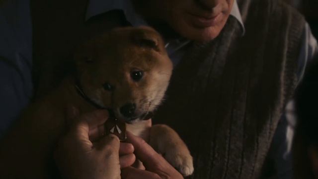 "Goodbye" from the movie "Hachiko". Kuat Benazir & Kanatkyzy Dinara смотреть онлайн