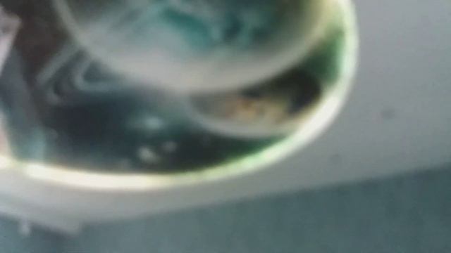 Двухуровневый натяжной потолок с фотопечатью смотреть онлайн