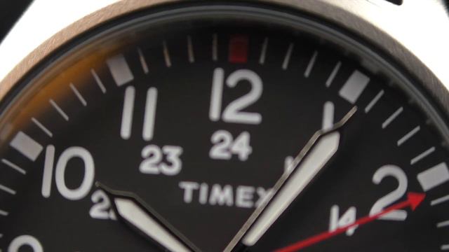 Timex TW2V07500 Expedition