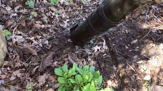 Erster Test Black&Decker GW 3050 für Balkon-Garten.com смотреть онлайн