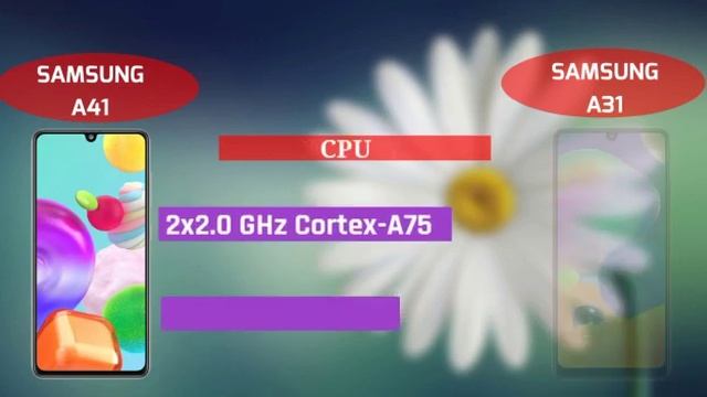Samsung Galaxy A41 vs Samsung Galaxy A31 смотреть онлайн