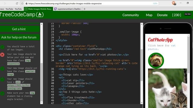 Make Images Mobile Responsive- freeCodeCamp Responsive Design with Bootstrap lesson #2 смотреть онлайн