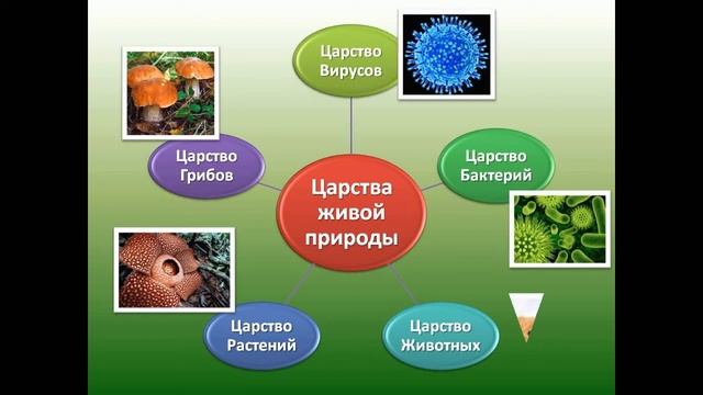 Окружающий мир 3 класс. Природа. С ответами, стр 4 смотреть онлайн