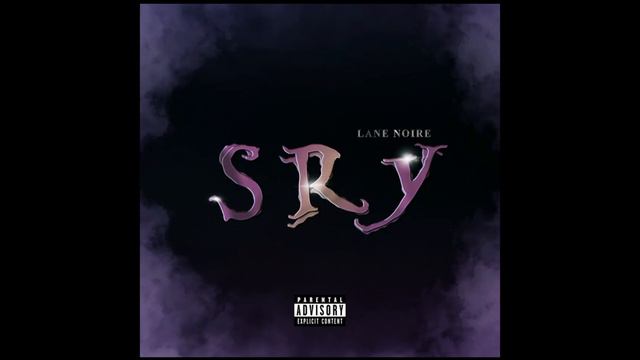 Lane Noire - SRY | SPEED UP смотреть онлайн