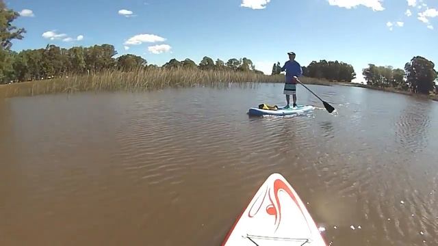 Shark sups inflatable paddle board смотреть онлайн