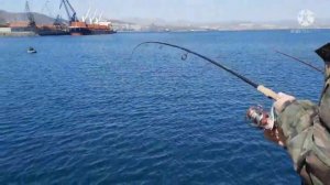 21.03.2022.Ловля минтая в г. Находка мыс Астафьева.#рыбалка#рыбалкавприморье#приморскийкрай#находка