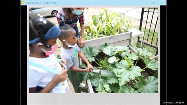 Transforming Communities through Urban Farming Webinar смотреть онлайн