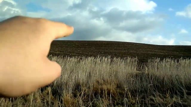 Detectie de metale, cultura Cerniahov. Ukraina. Коп по ЧК-Не густо но и не пусто смотреть онлайн