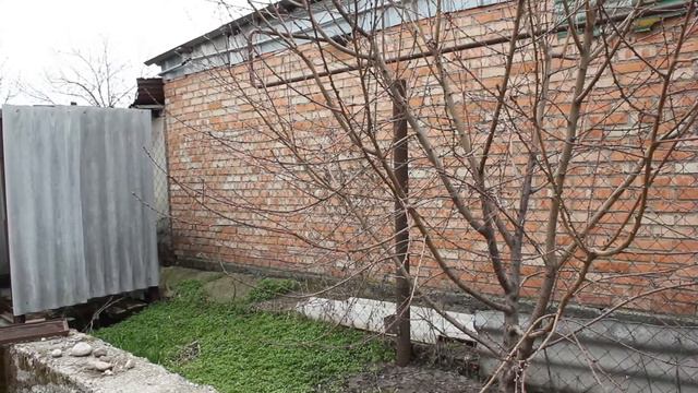 Огород в апреле. Набухают почки, начала расти клубника. Обзор рассады. //Валентина Земскова смотреть онлайн