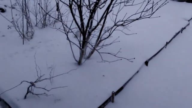 ЗИМА ПРИШЛА В САРАТОВ 22 03 2020 смотреть онлайн