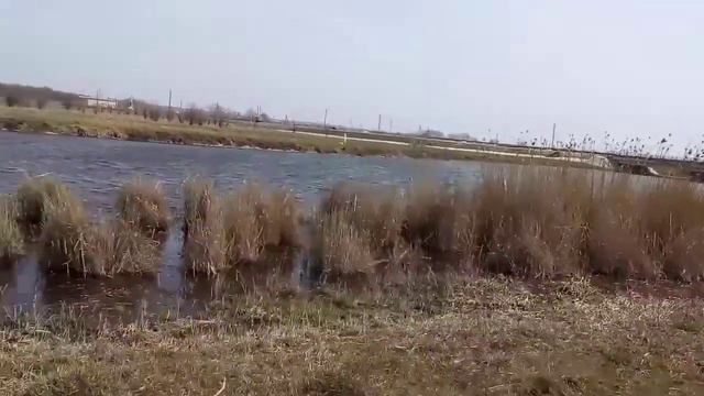 Морозовск.Весна 2021г.Весенняя прогулка. смотреть онлайн