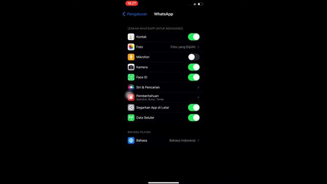 Cara Mengatifkan Mikrofon Whatsapp Di Iphone смотреть онлайн