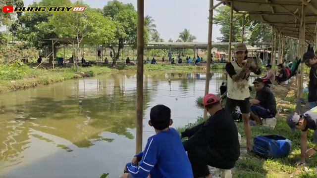 Ikannya benar-benar lagi lapar❗full Gurame 65rb смотреть онлайн