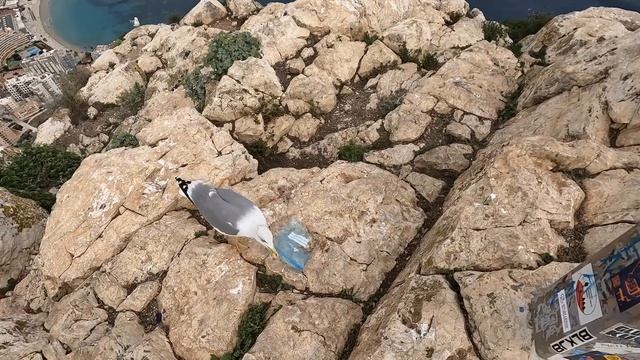 ЧТО ТВОРИТ ЖЕНА ПОКА ДЕТИ В САДИКЕ? Лучшие места Испании - Кальп. смотреть онлайн