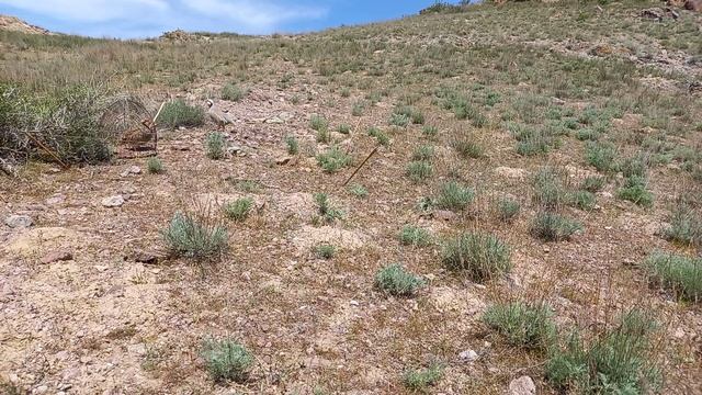 охота кеклики смотреть онлайн