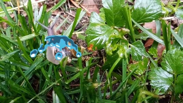 Уроки немецкого языка. Улитка ползёт. смотреть онлайн