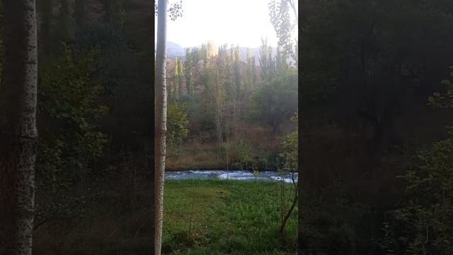 Шахимардан — посёлок в Ферганской области Узбекистана, главный населённый пункт эксклава Шахимардан смотреть онлайн