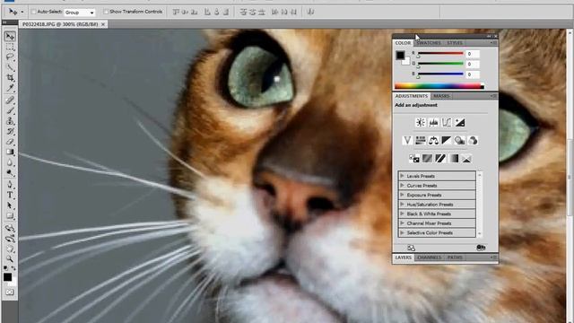 Photoshop CS4 palettes cover my image смотреть онлайн