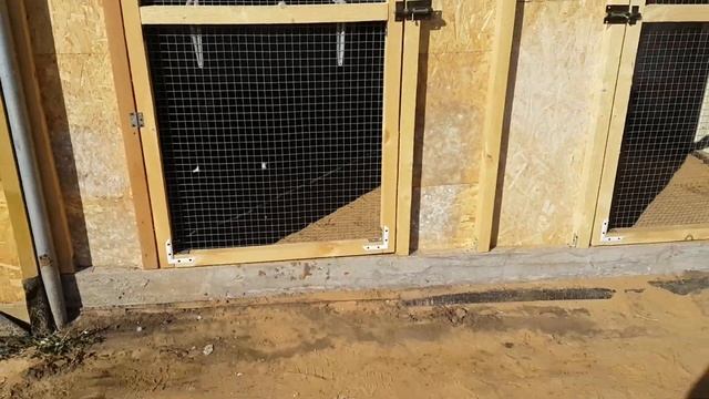 Голуби в новой голубятне,хочется погонять молодежь.Pigeons in the new dovecote. смотреть онлайн