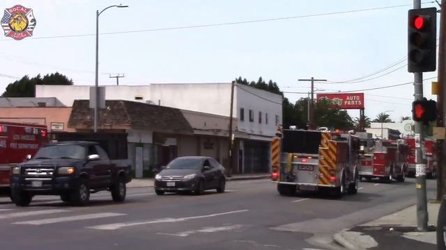 LAFD Battalion 1, USAR Task Force 5, Rescue 46 & Rescue 66 смотреть онлайн