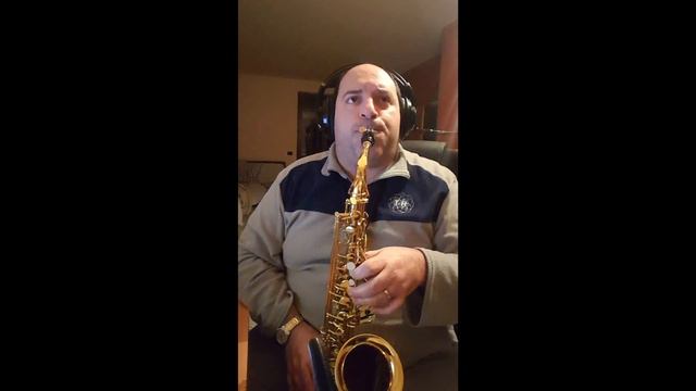 I JUST CALLED TO SAY I LOVE YOU - Stevie Wonder - cover sax alto by Vincenzo Alois смотреть онлайн