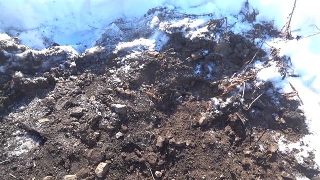 Пробное открытие сезона)Коп металлолома.