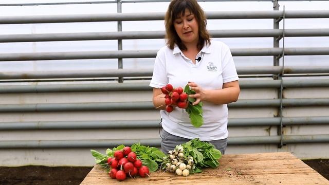 Стройка Видеоглазом