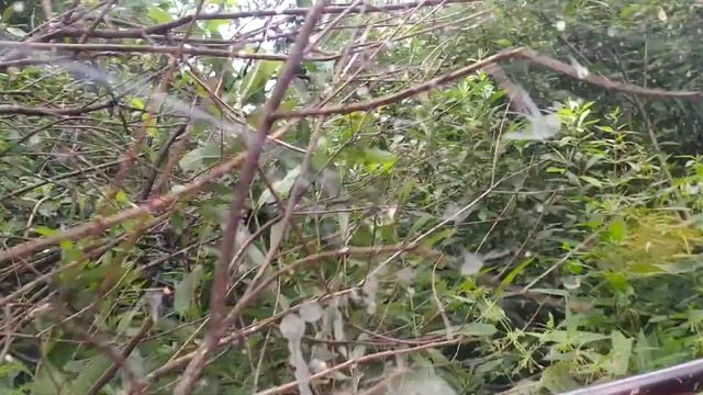 Будни водителя вездехода... смотреть онлайн