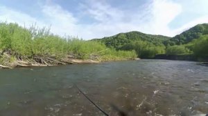 Бешеный жор лосося! Горбуша с симой. Ловля на спиннинг. Сахалинская рыбалка & Sakhalin fishing