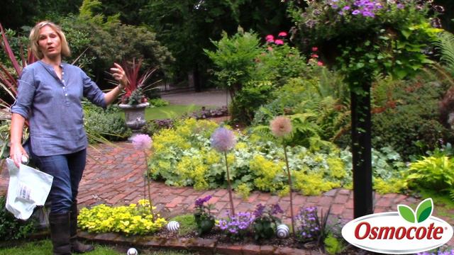Spray Painting Alliums