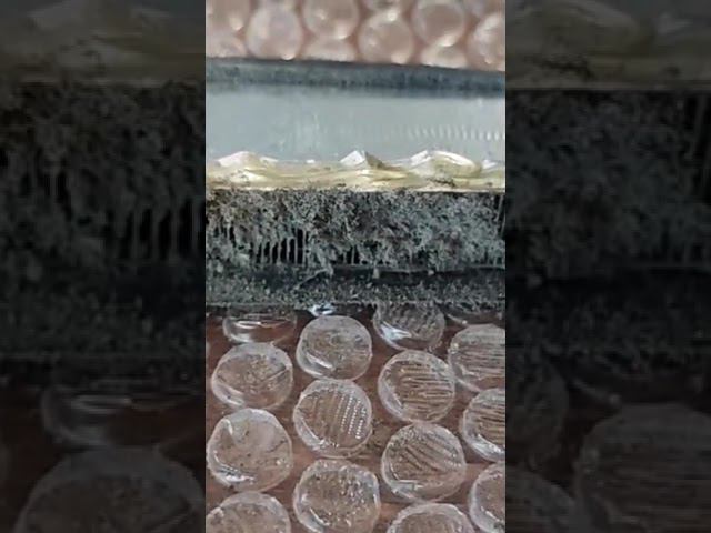 красота погубит мир смотреть онлайн