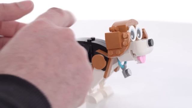 LEGO Creator 3-in-1 Adorable Dogs 31137 main build review! Cartoonish charm & good value смотреть онлайн