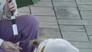 День города Челябинск в сквере ДК  Станкомаш